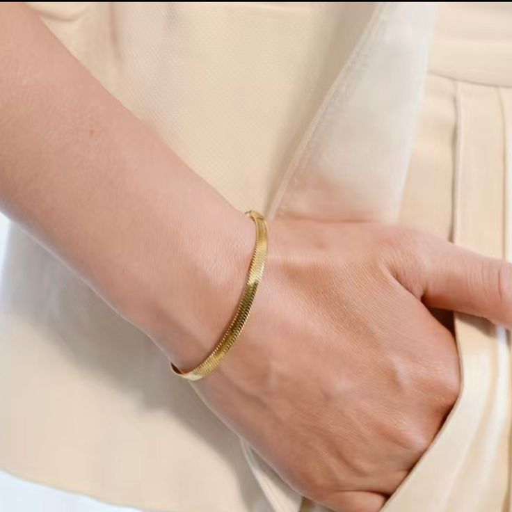 Stainless Steel Snake Bone Chain Bracelet